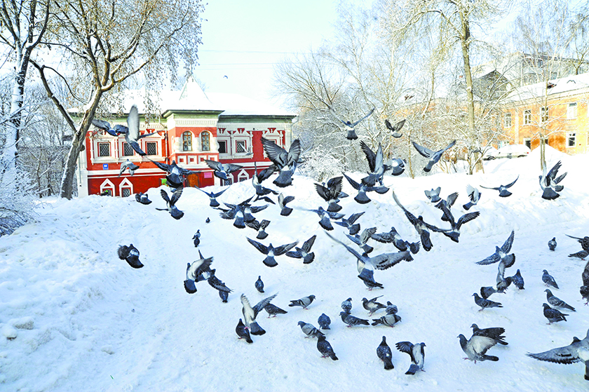 место притяжения.jpg