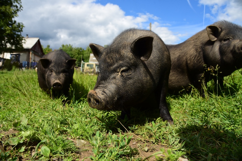 u_iFwM26Aj4.jpg u_iFwM26Aj4.jpg