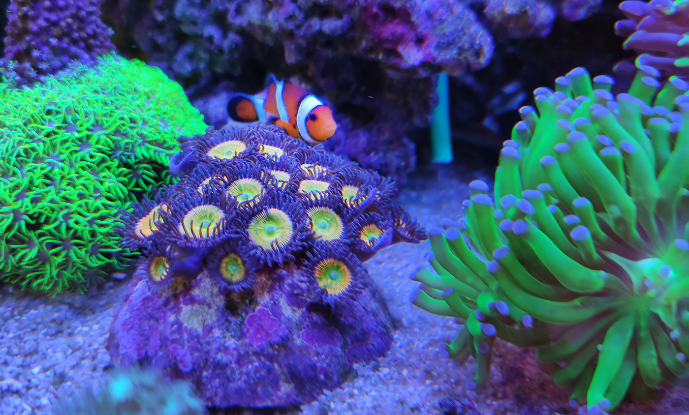 Фото В Кормильцева (45).jpg