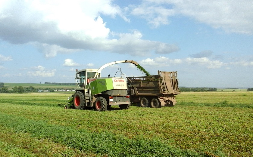 Заготовка кормов в ООО TH-Group (Ульяновский район).jpg