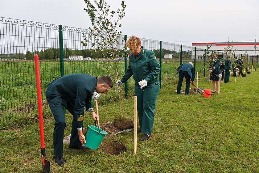 DSC_6645-01_новый размер.jpg DSC_6645-01_новый размер.jpg