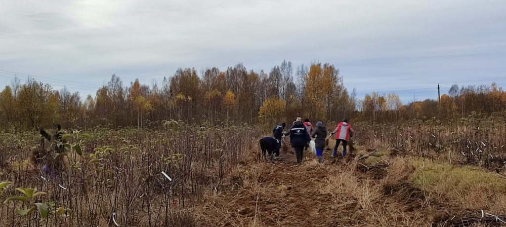 1634798091944 (1).jpg