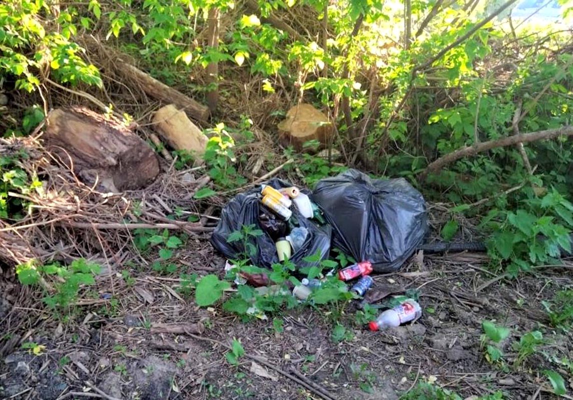 Мусор в лесу близ деревни Емельяновка Юхновского района.jpg