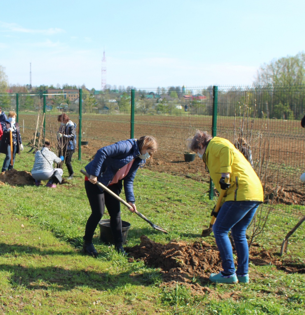 27 стадион.jpg