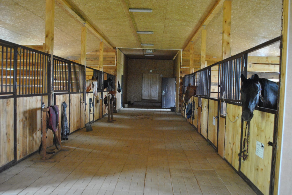 Конюшня внутри.jpg