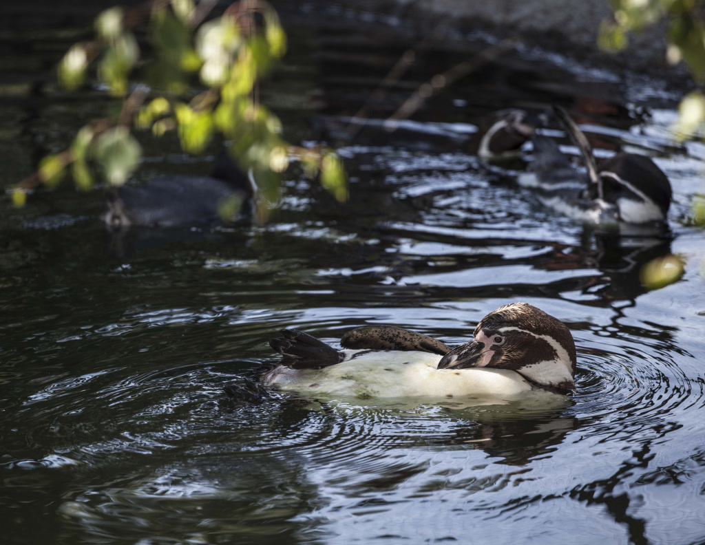 фото Кормильцева_11.jpg фото Кормильцева_11.jpg