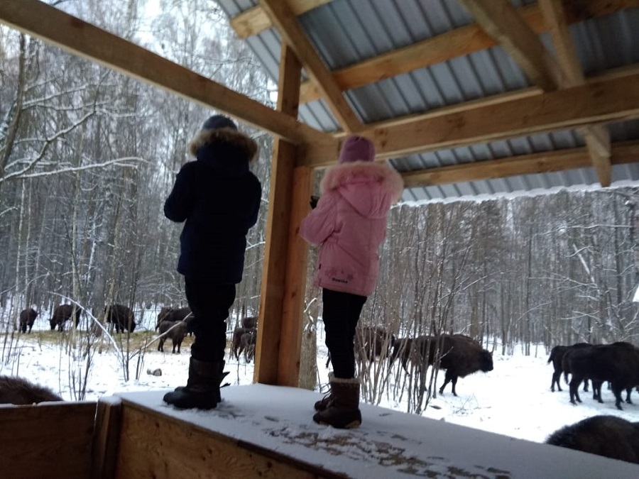 Ух ты, сколько их!.jpg