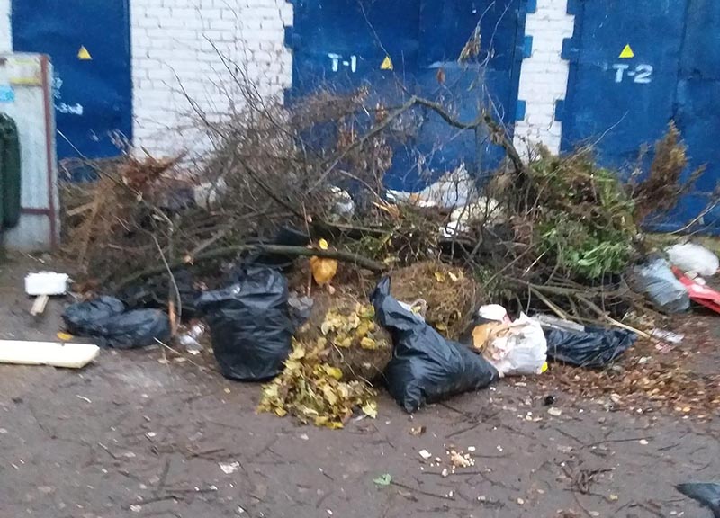 моя свалка.jpg