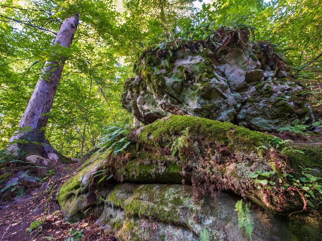 чертово городище_1.jpg