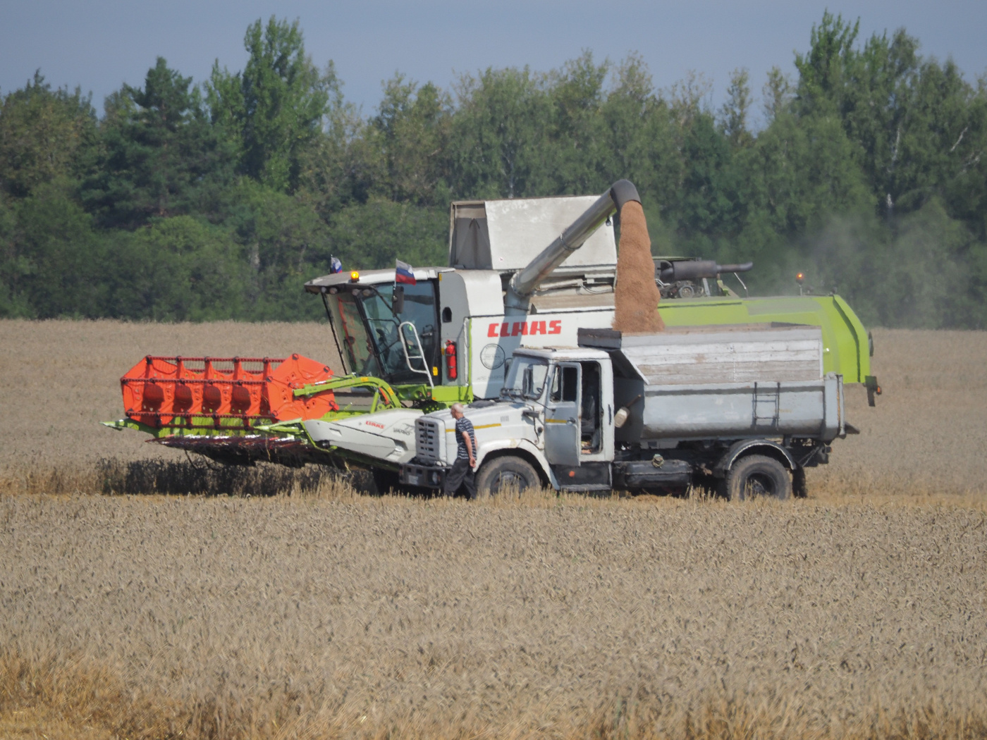 Жатва в ООО Агрофирма Мещовская.jpg
