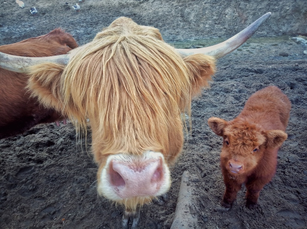 T2AJME8xKhA.jpg T2AJME8xKhA.jpg