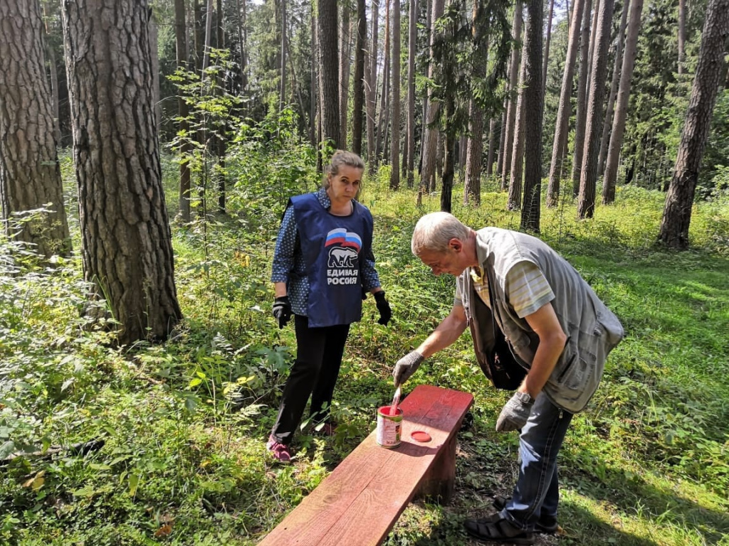 обустройство территории городских лесов.jpg