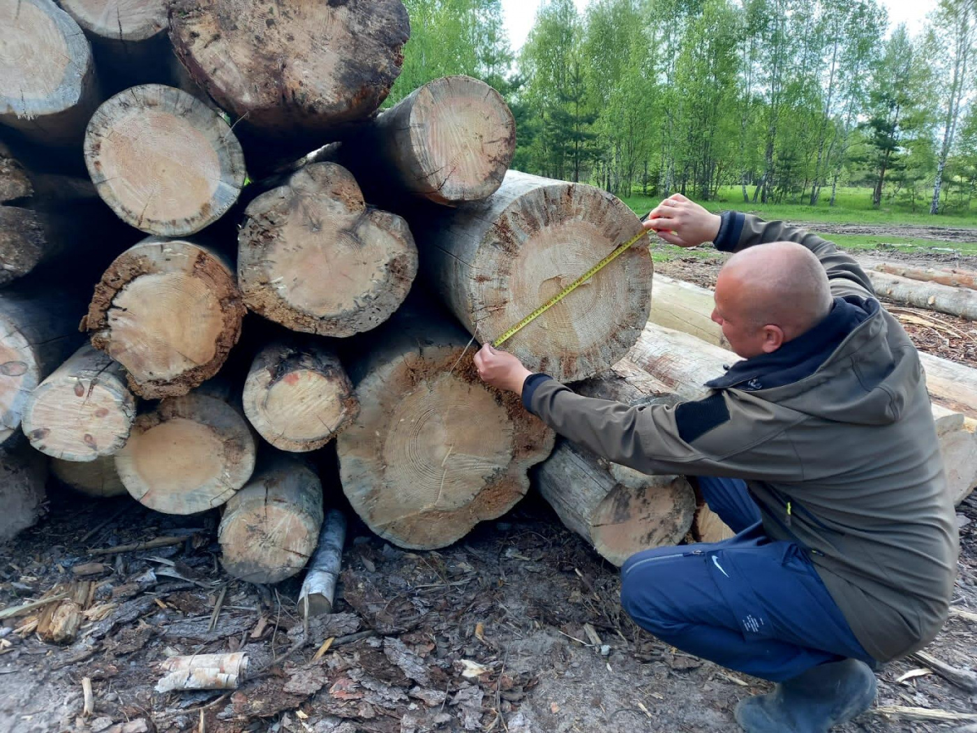 Продукция лесозаготовительной отрасли востребована потребителями.jpg