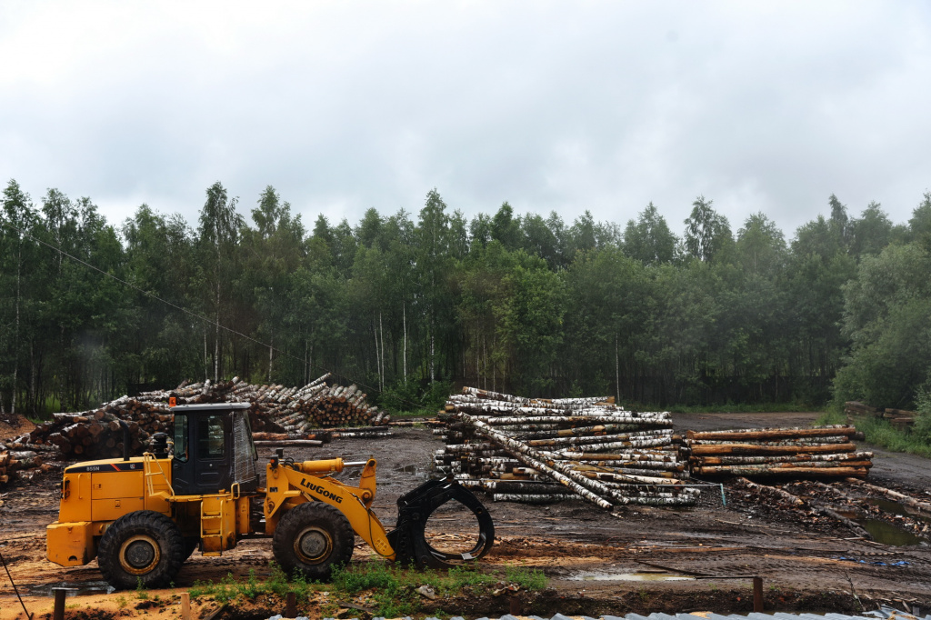 DSC_2519_новый размер.JPG