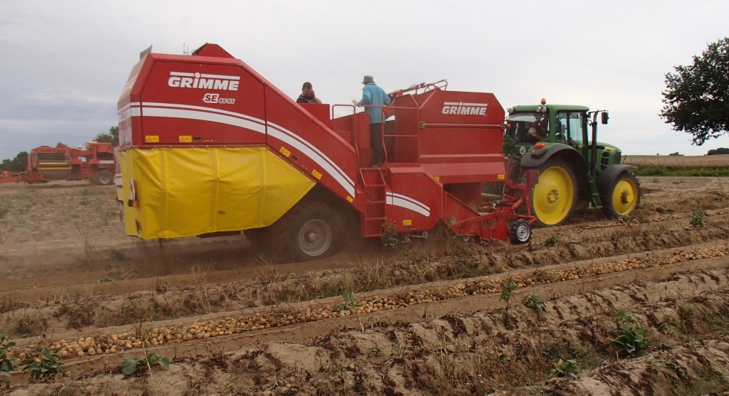 Уборка картофеля в ООО Аврора.jpg