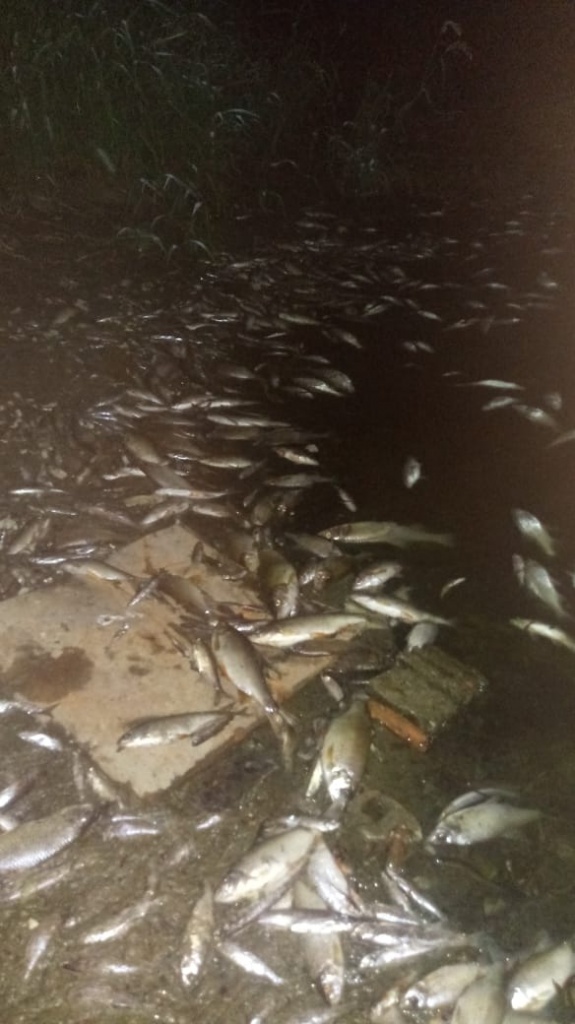 протва фото ильи сигаева.jpg