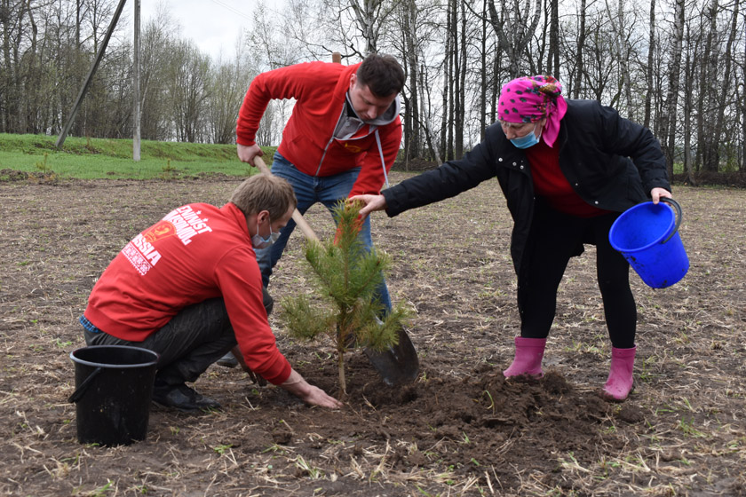 Посадка деревьев в д. Баранцево..JPG