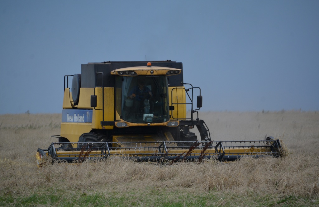 Комбайн.jpg