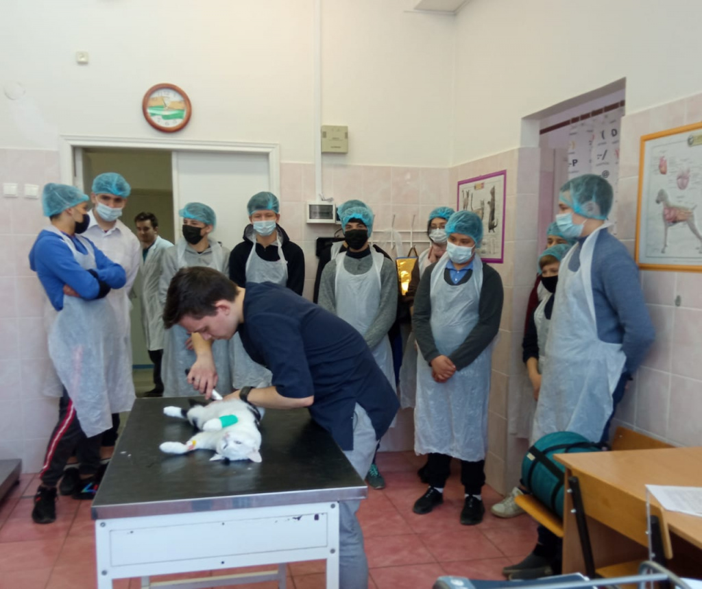 IMG-20210408-WA0026.jpg IMG-20210408-WA0026.jpg