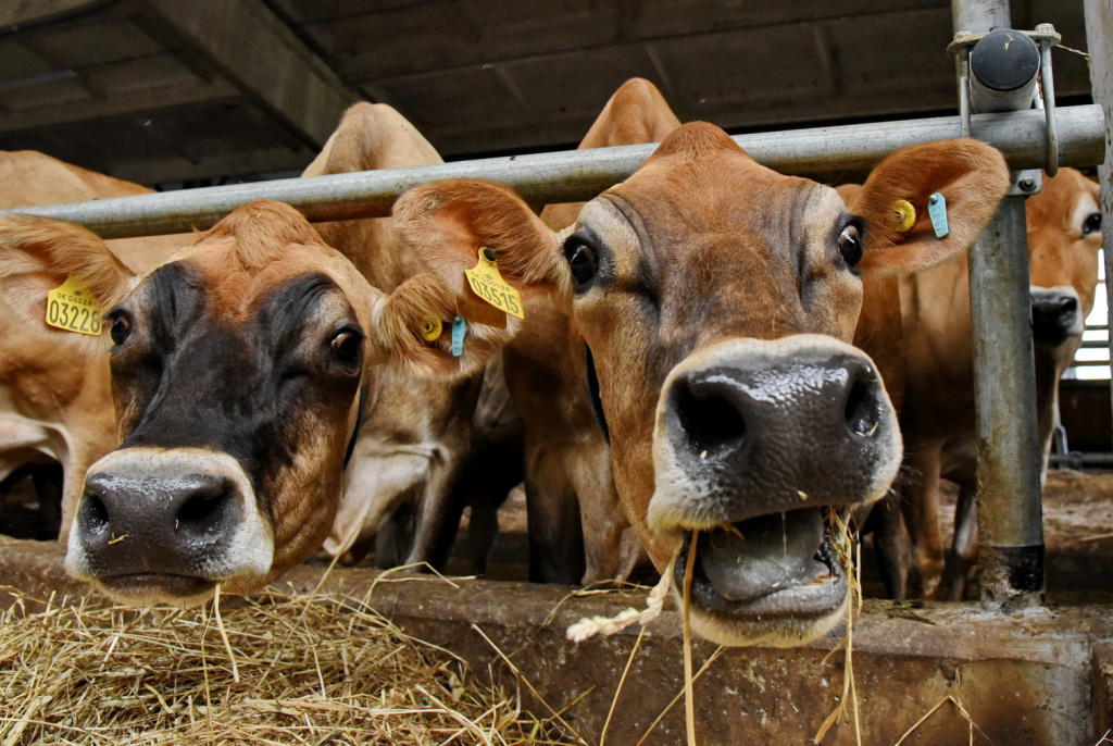 DSC_2932_новый размер.JPG