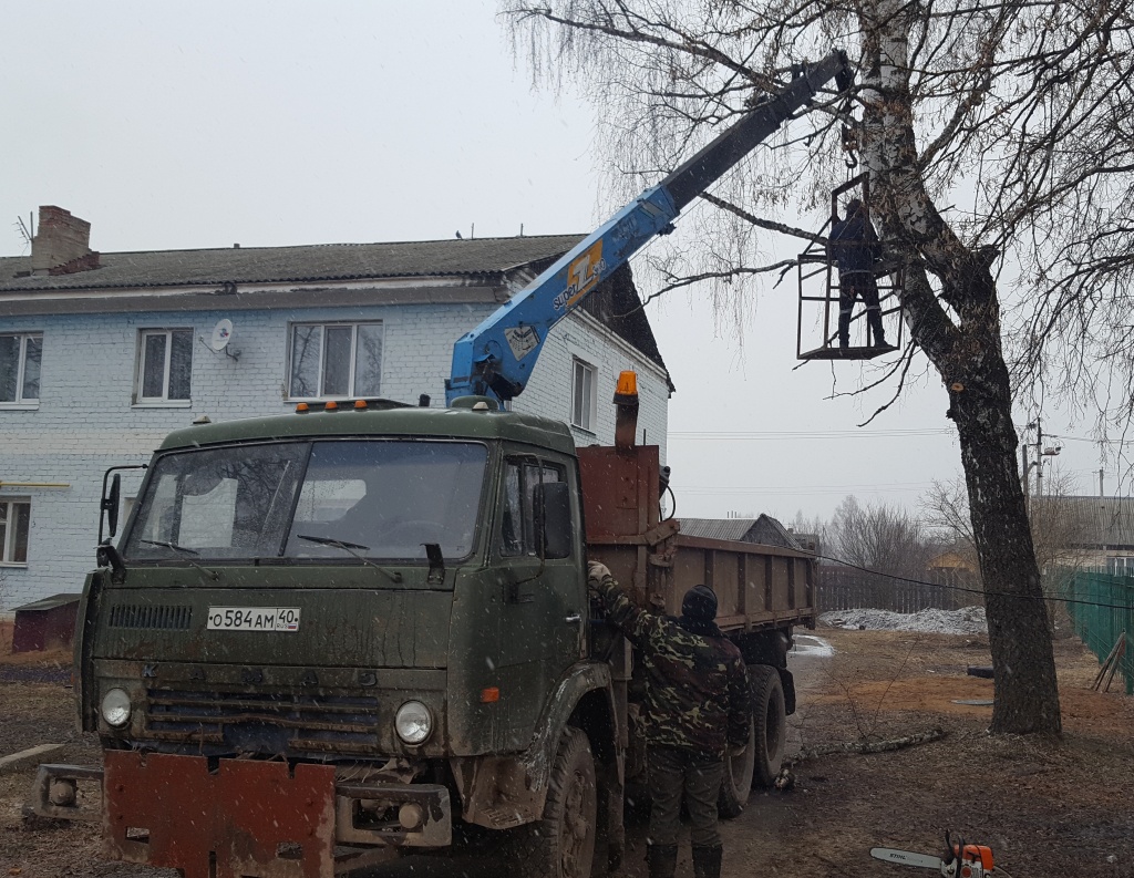 Пилим деревья.jpg