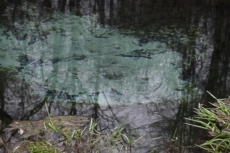 DSC_6332_новый размер.JPG