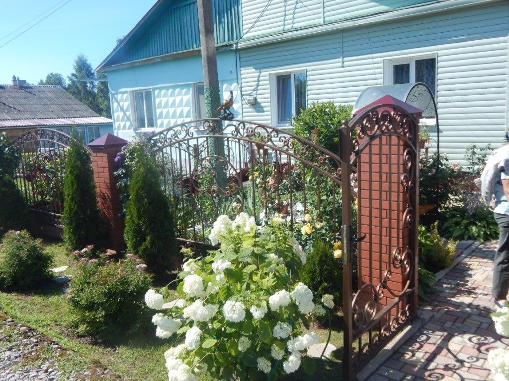 Перед калиткой - гортензия.JPG