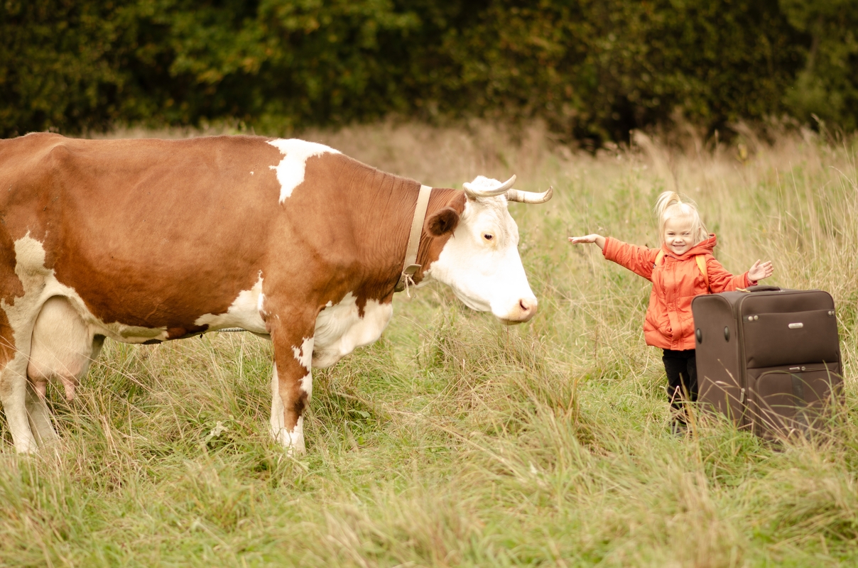 Сорокины средняя дочка Стеша и корова-кормилица Красава_1.jpg