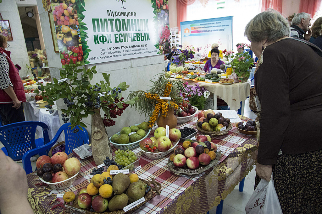 У экспозиции питомника Есичева.JPG