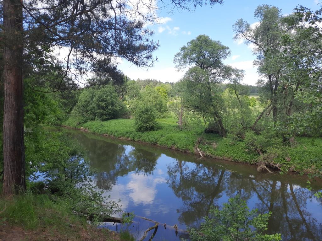 Ильинский омут.jpg