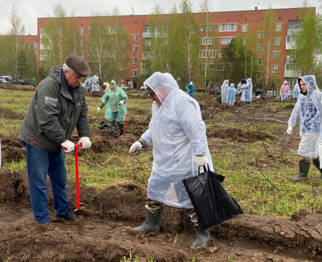 Космический лес 2.jpg
