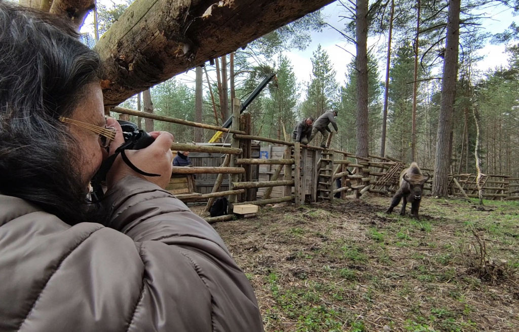 фото Кормильцева _26.jpg