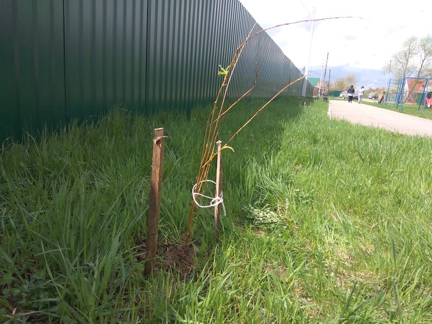 Красный Городок3.jpg