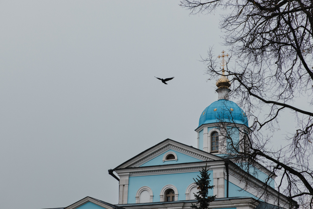 4S1A1988 копия.jpg