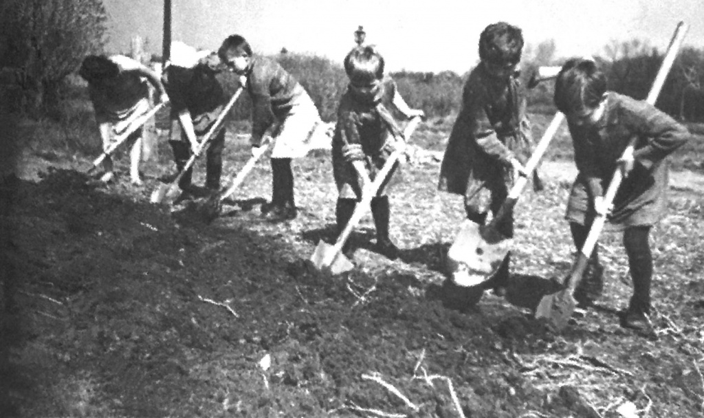 01-08 декабрь 2021 - январь 2022.jpg