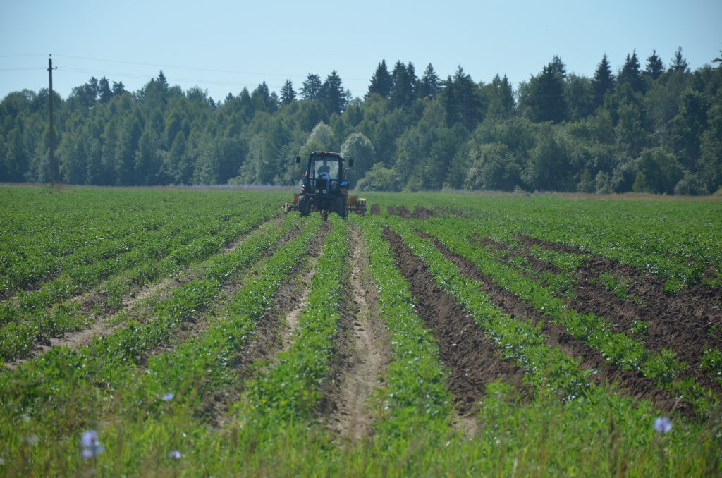 Обработка картошки в СПК «Угра».jpg