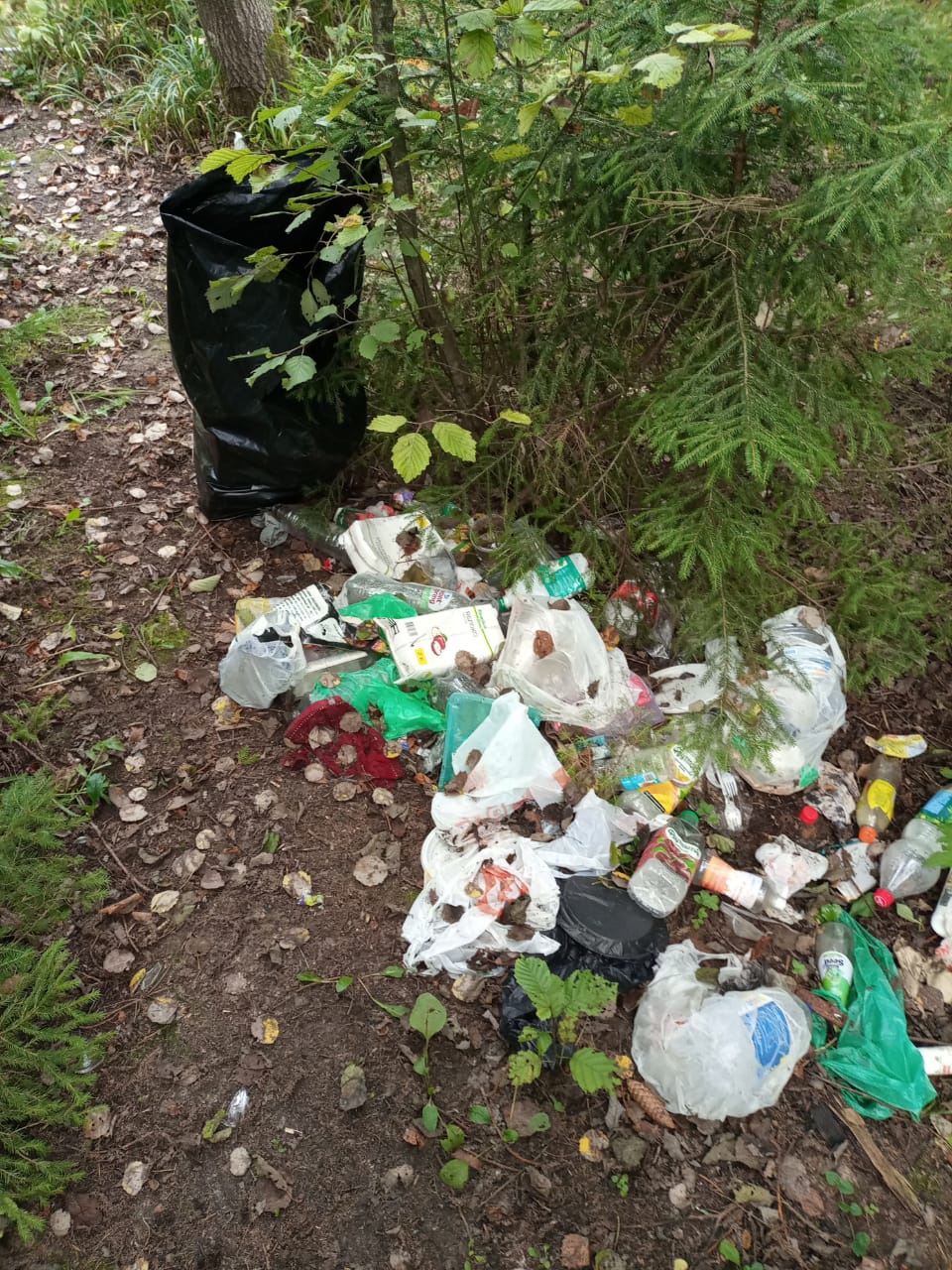 Свалка в прибрежной зоне Страдаловки.jpg