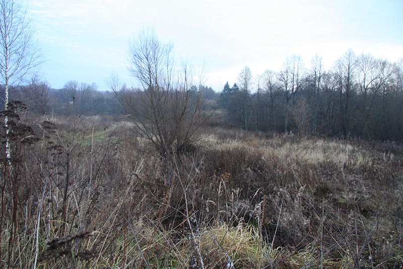 Поле 1.jpg Поле 1.jpg