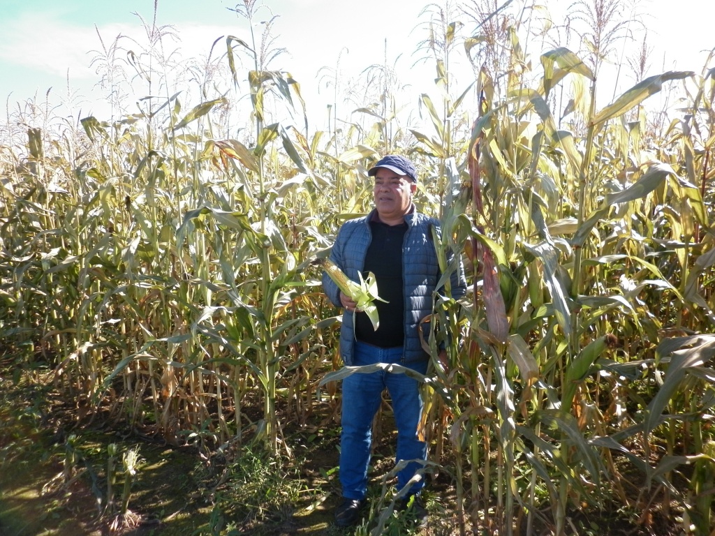 Балахан Сафаров.JPG