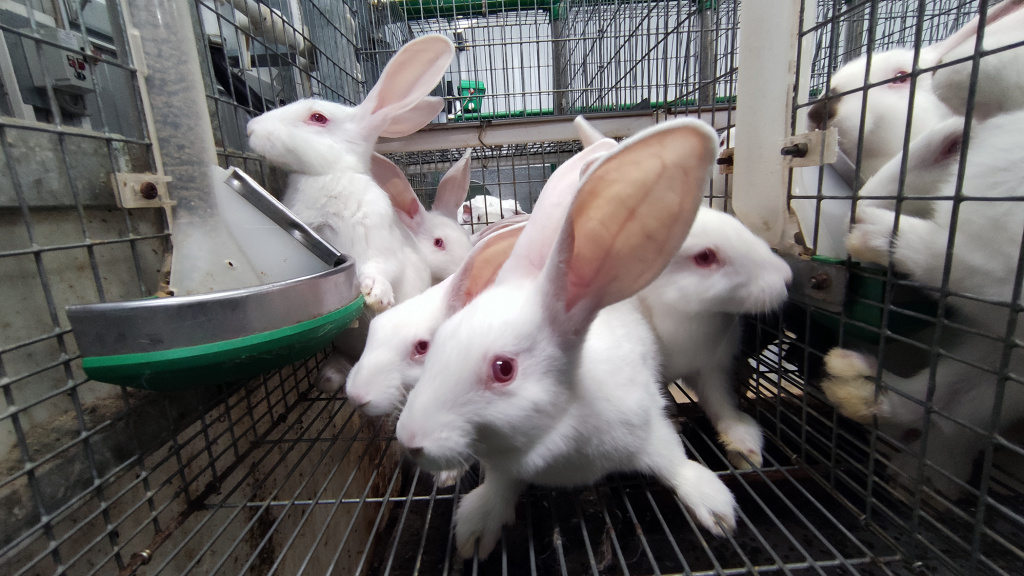 фото Кормильцева_64.jpg