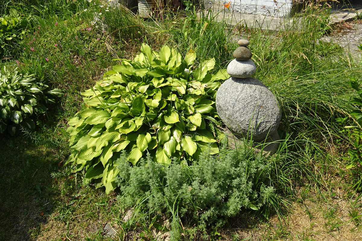 Сад камней.JPG