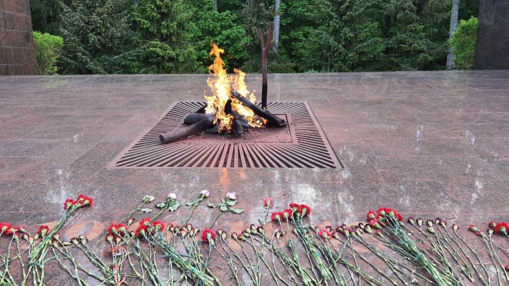 LD3GtBxaZQ8.jpg LD3GtBxaZQ8.jpg