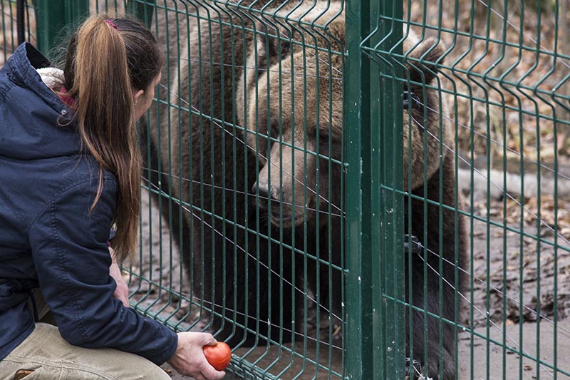 фото В Кормильцева_36.jpg