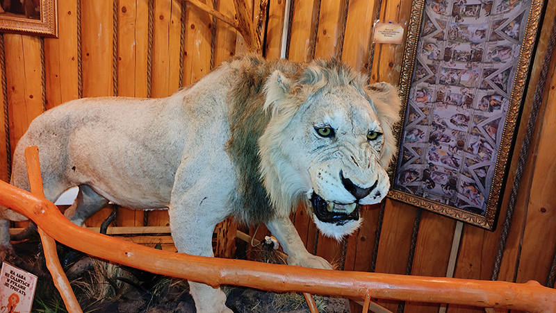 фото Кормильцева _36.jpg