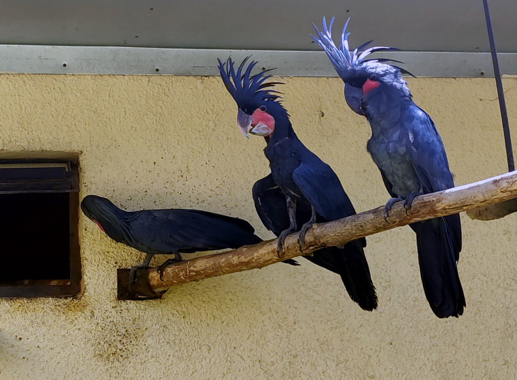 фото Кормильцева_16.jpg фото Кормильцева_16.jpg