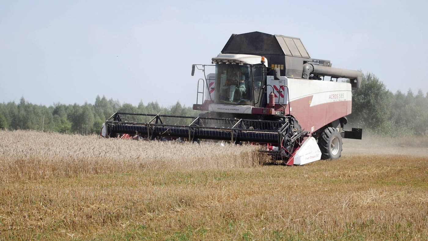 vlcsnap-2022-08-26-14h18m19s198 (2).png