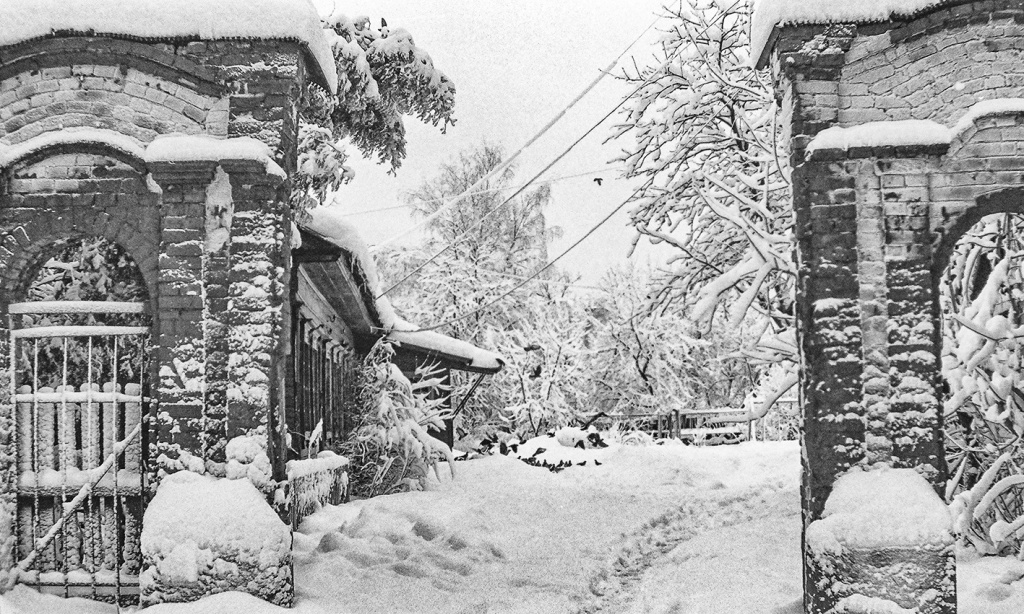 сычев чб.jpg сычев чб.jpg