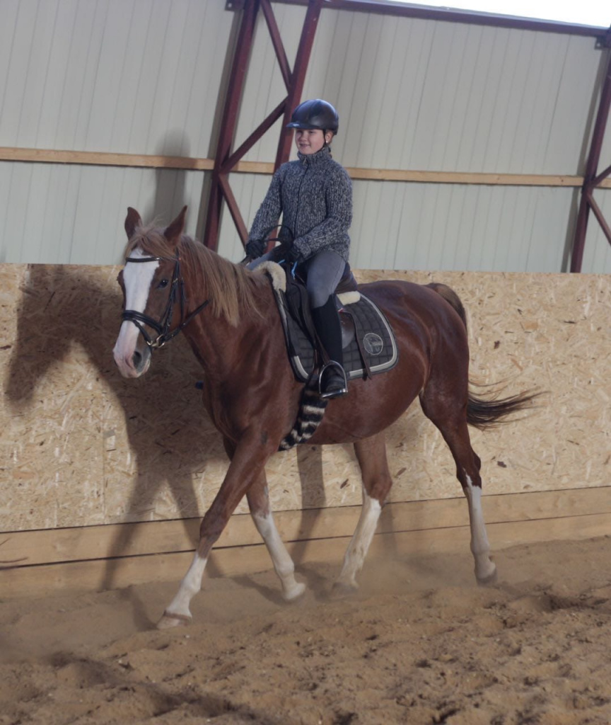 Тренировка в манеже.jpg