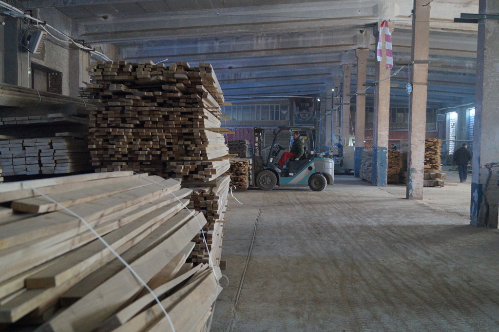 Лесной союз 2.jpg