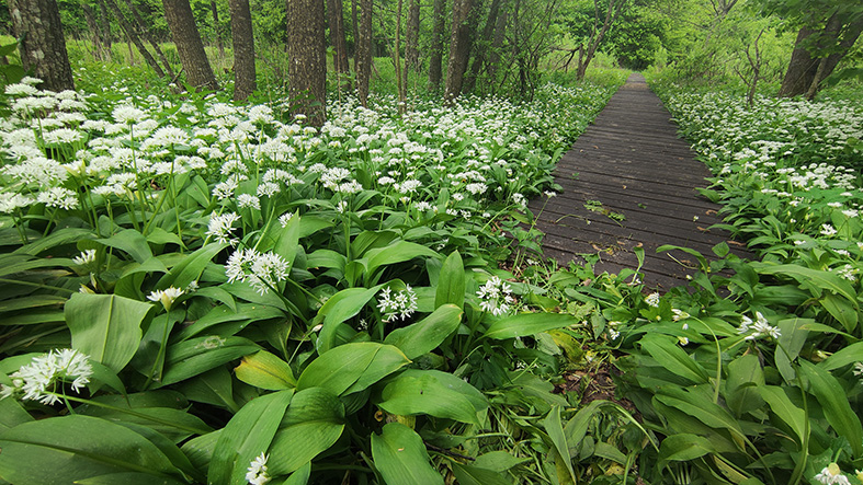 Фото В Кормильцева_71.jpg